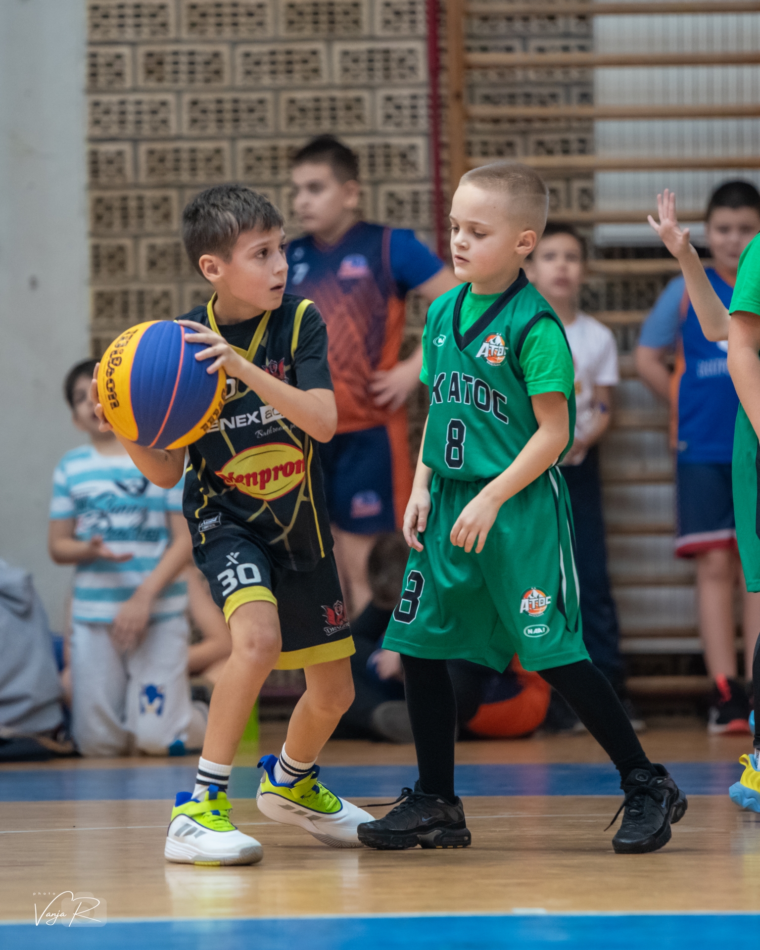 Fenix & Kos 2026 - DSC 8271