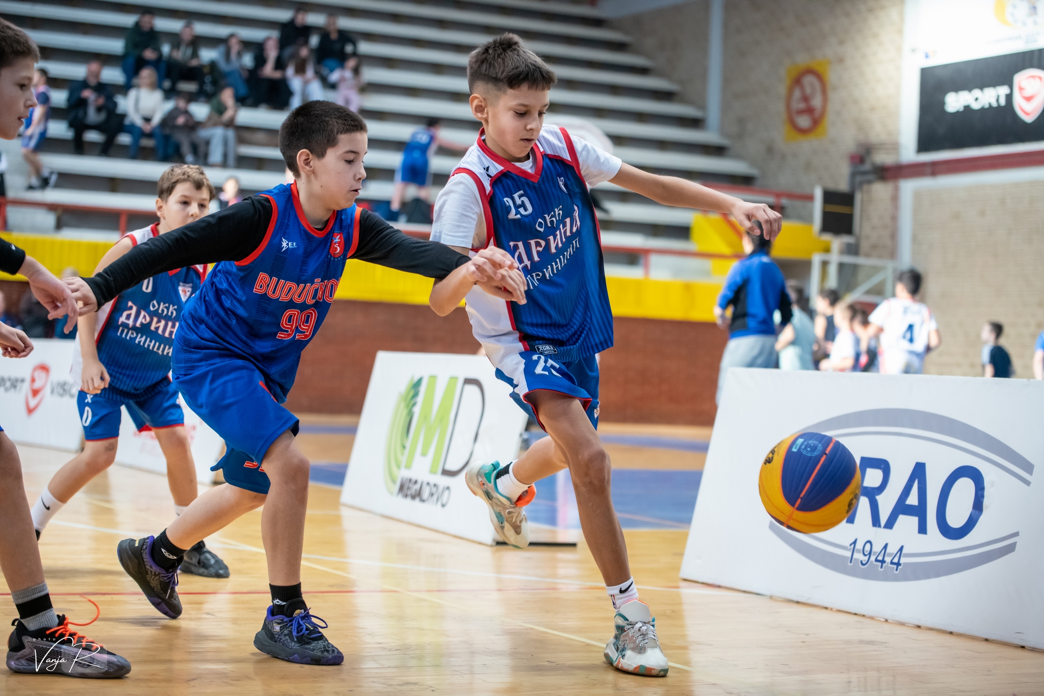 Fenix & Kos 2026 - DSC 8331